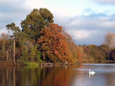 Earlswood Lake,Surrey in autumn.0098DGB